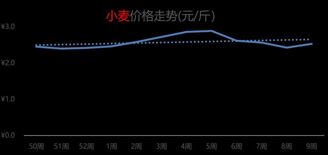 今日小麦行情概览，最新市场价、趋势预测与影响因素深度分析