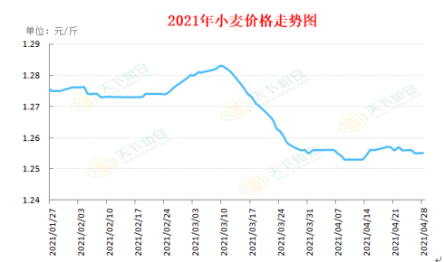 河北小麦价格最新动态分析