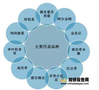 2024新澳门资料大全免费｜连贯性执行方法评估