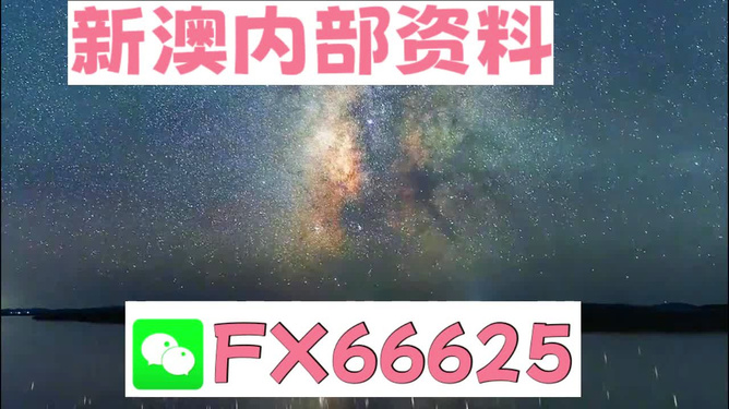 2024新澳天天彩免费资料,标准化流程评估_4DM74.146