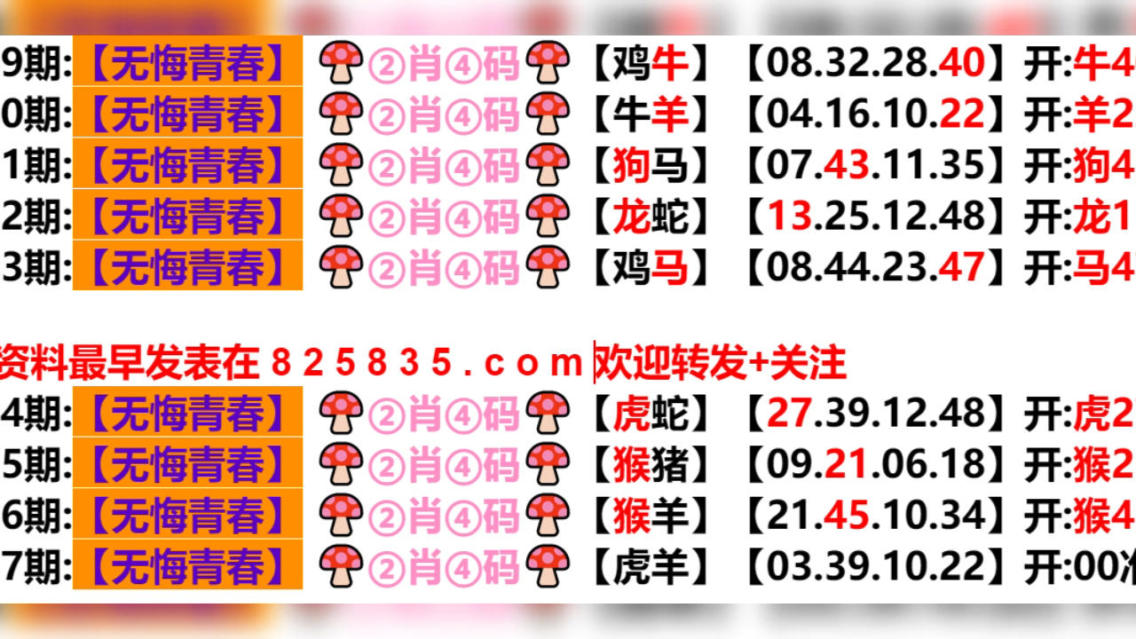 2024年新奥门天天开彩,决策资料解释落实_豪华款48.245