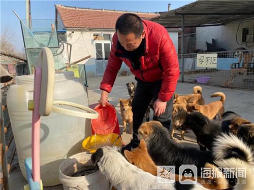 犬舍招聘饲养员，探索人与犬和谐共处的秘密