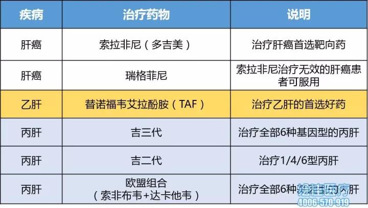 丙肝新药进展，治疗革新及未来展望